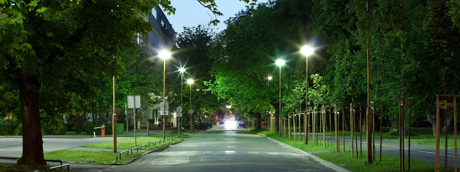 Cellular Silicones and the Lighting Industry